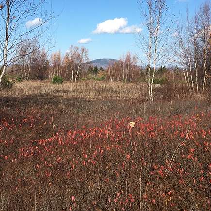 8.3 Acres of Residential Land for Sale in Sedgwick, Maine