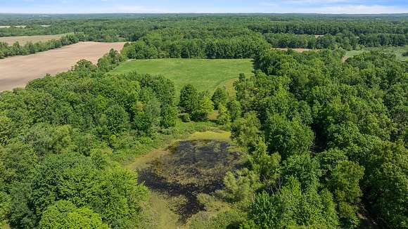 61 Acres of Land for Sale in Jonesville, Michigan
