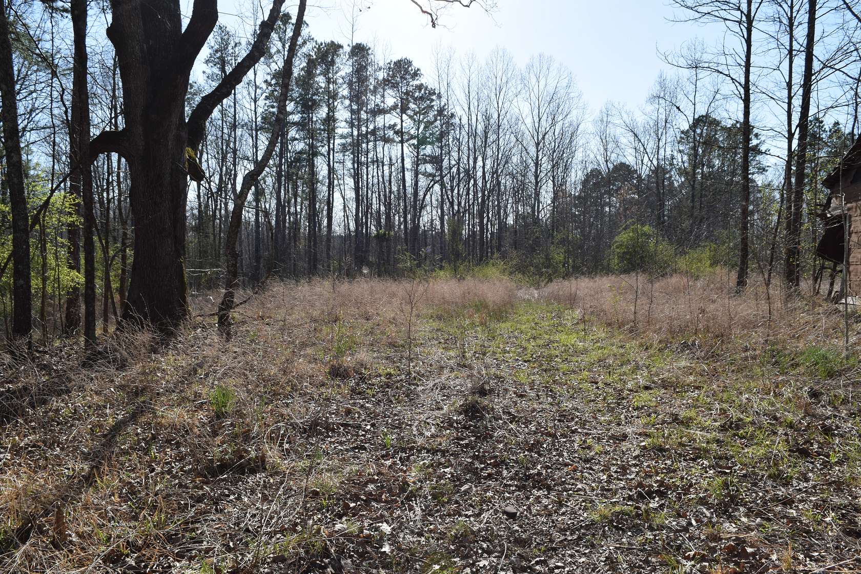 Recreational Land for Sale in Hickory Flat, Mississippi