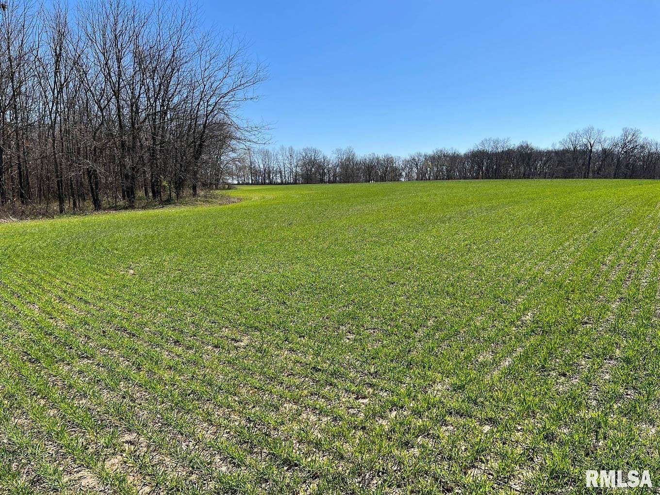 12 Acres of Recreational Land & Farm for Sale in Pleasant Hill, Illinois