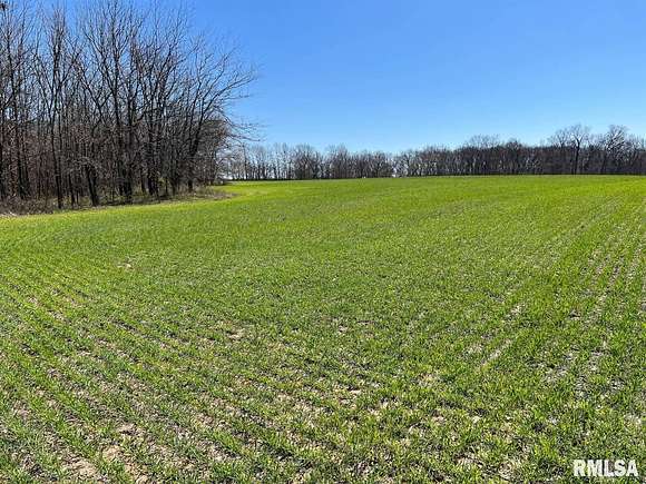 12 Acres of Recreational Land & Farm for Sale in Pleasant Hill, Illinois
