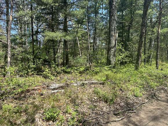 0.23 Acres of Residential Land for Sale in Idlewild, Michigan