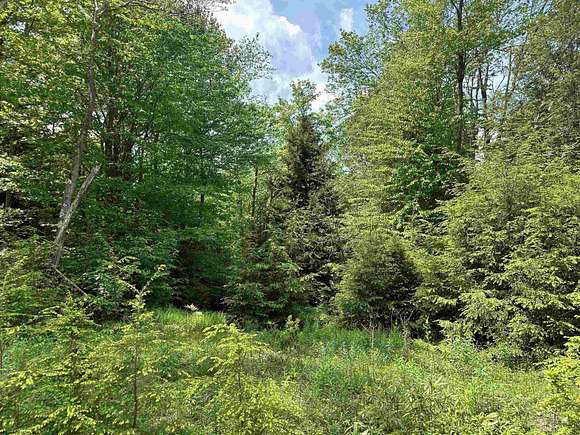 0.55 Acres of Residential Land for Sale in Davis, West Virginia