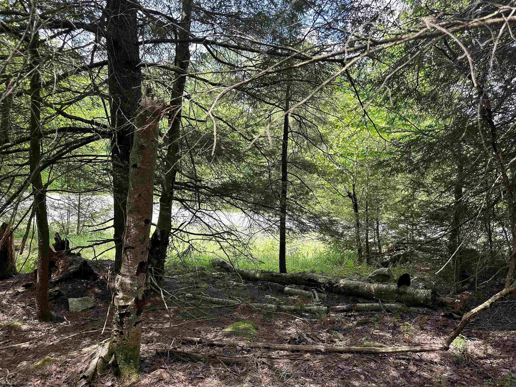0.88 Acres of Residential Land for Sale in Davis, West Virginia