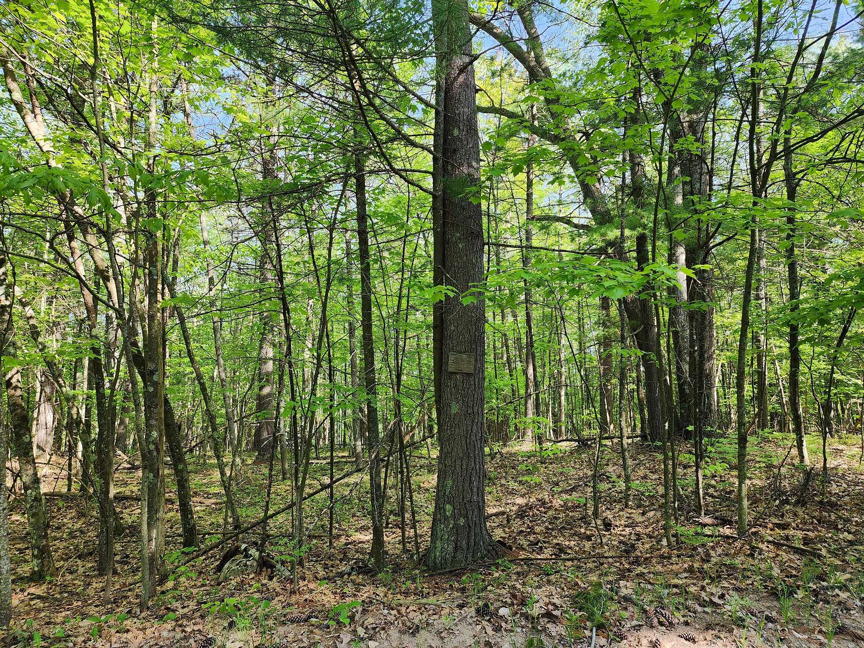 0.9 Acres of Residential Land for Sale in Jay, New York