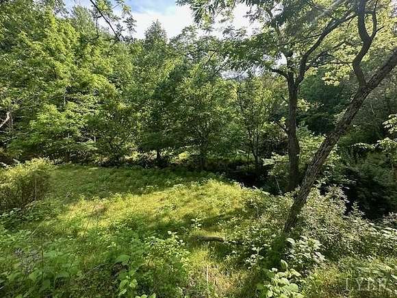 18 Acres of Recreational Land for Sale in Amherst, Virginia