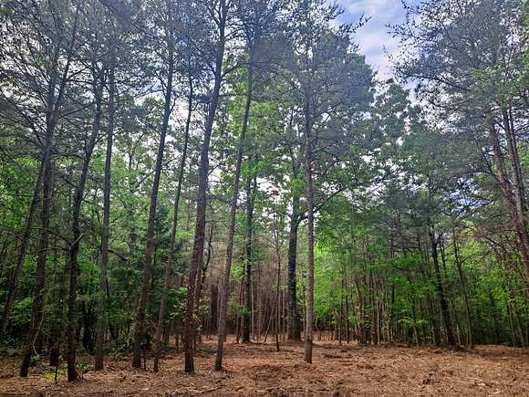 11 Acres of Land for Sale in Eldridge, Alabama