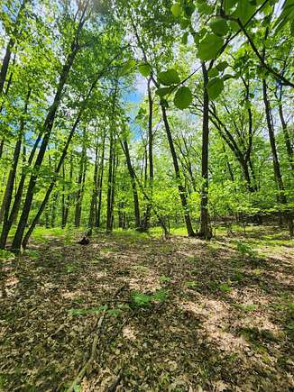 0.8 Acres of Residential Land for Sale in Farwell, Michigan