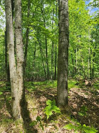 0.8 Acres of Residential Land for Sale in Farwell, Michigan - LandSearch