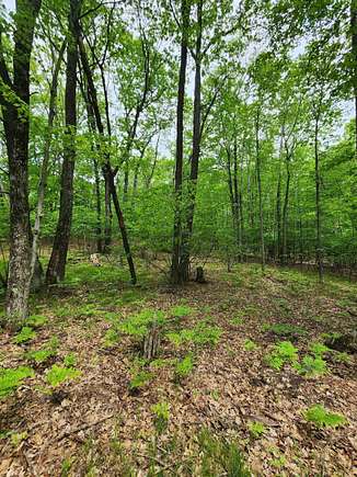 0.8 Acres of Residential Land for Sale in Farwell, Michigan - LandSearch