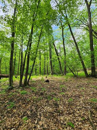 0.8 Acres of Residential Land for Sale in Farwell, Michigan - LandSearch