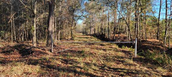 1.6 Acres of Land for Sale in Cross, South Carolina