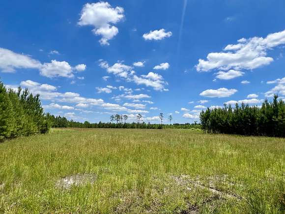 5.3 Acres of Residential Land for Sale in Ridgeland, South Carolina