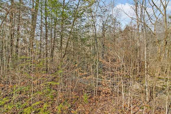 133 Acres of Recreational Land for Sale in Jamestown, Tennessee