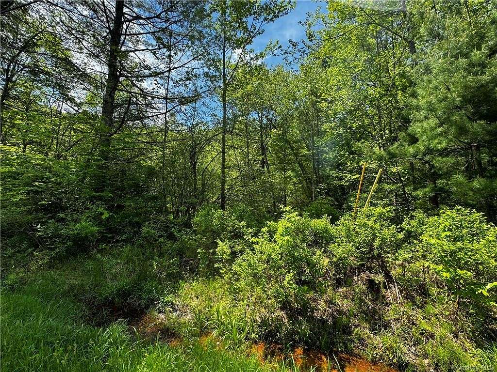 9.5 Acres of Land for Sale in Fallsburg, New York