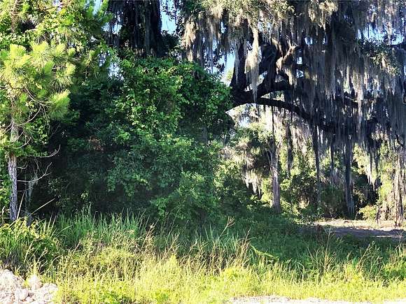 1.3 Acres of Residential Land for Sale in Okahumpka, Florida