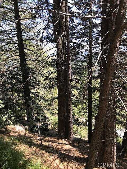 0.21 Acres of Residential Land for Sale in Lake Arrowhead, California