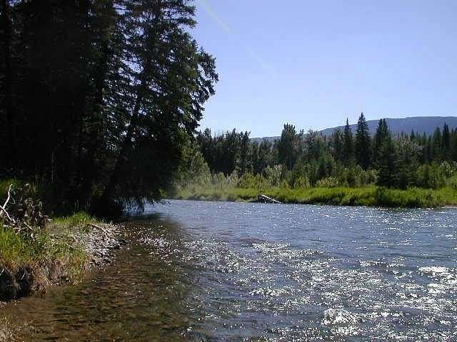 14.36 Acres of Recreational Land & Farm for Sale in Bigfork, Montana