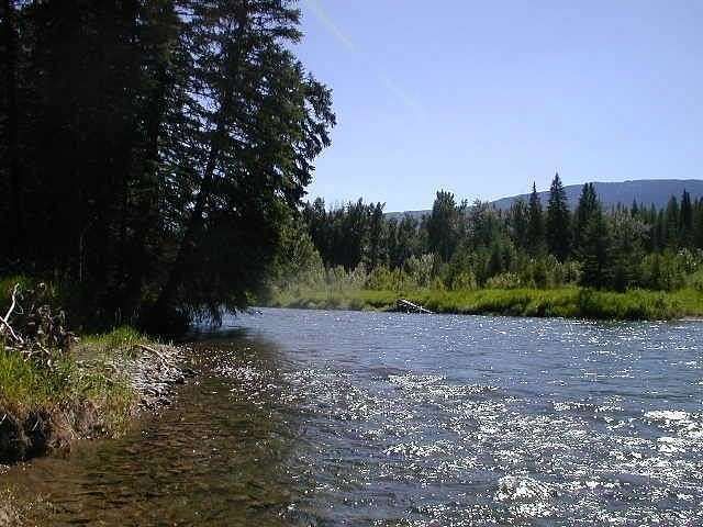 14.4 Acres of Recreational Land for Sale in Bigfork, Montana