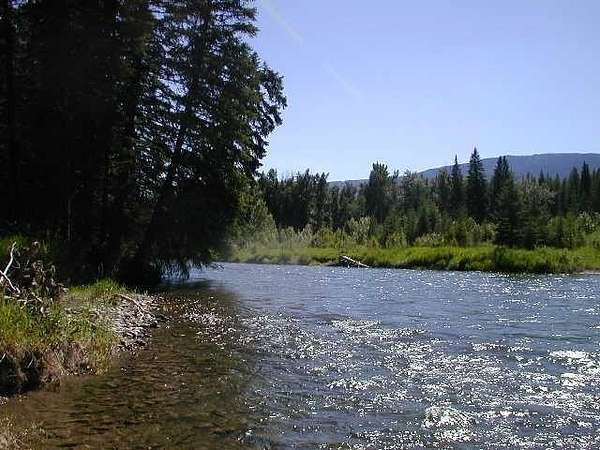 14.4 Acres of Recreational Land for Sale in Bigfork, Montana