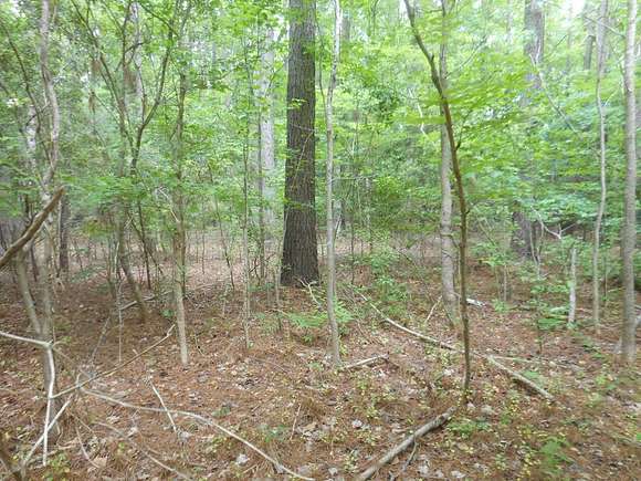 0.689 Acres of Residential Land for Sale in Melfa, Virginia