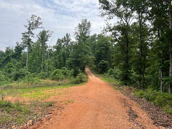 80 Acres of Recreational Land for Sale in Melbourne, Arkansas