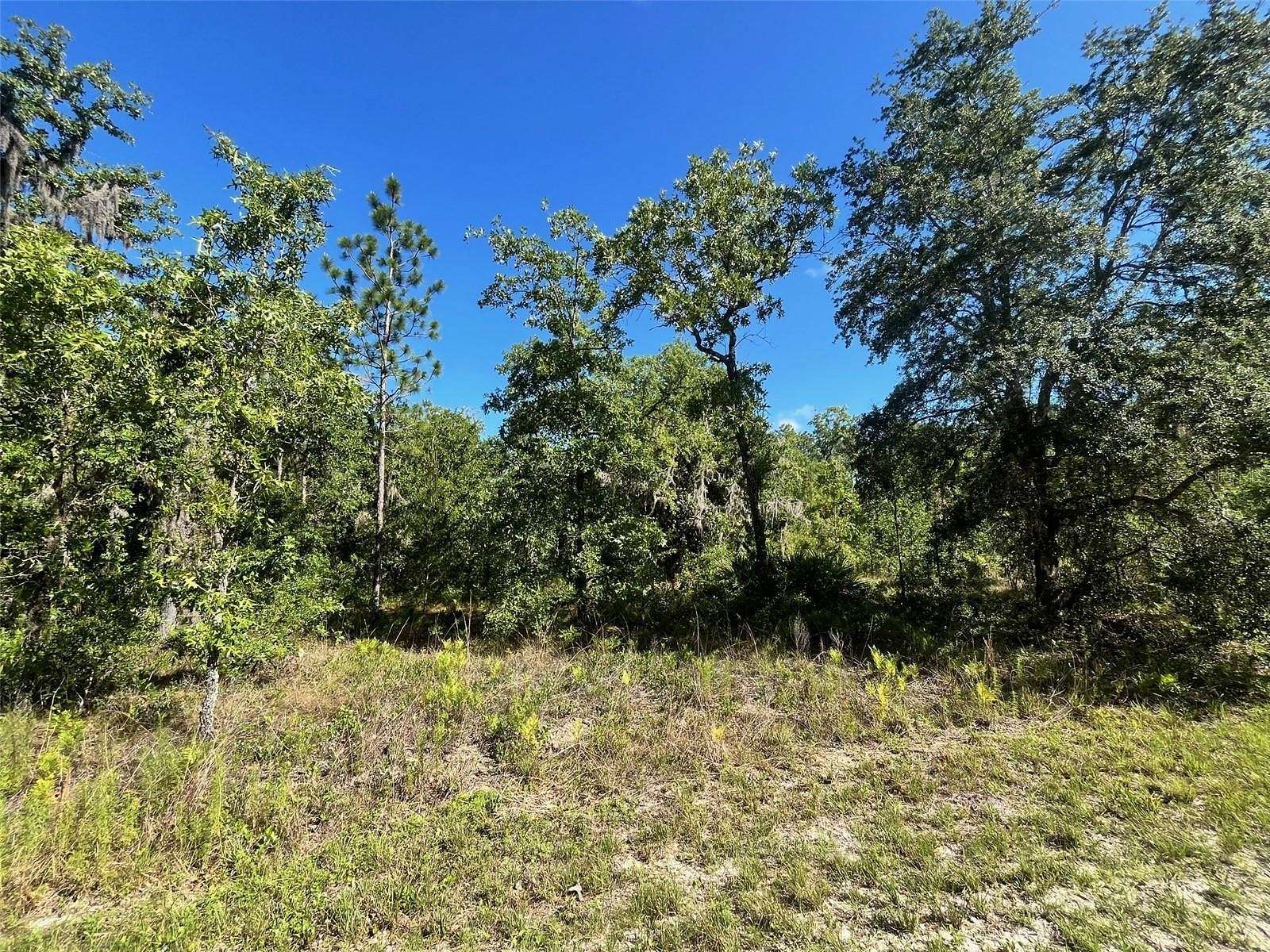 0.56 Acres of Residential Land for Sale in Weeki Wachee, Florida