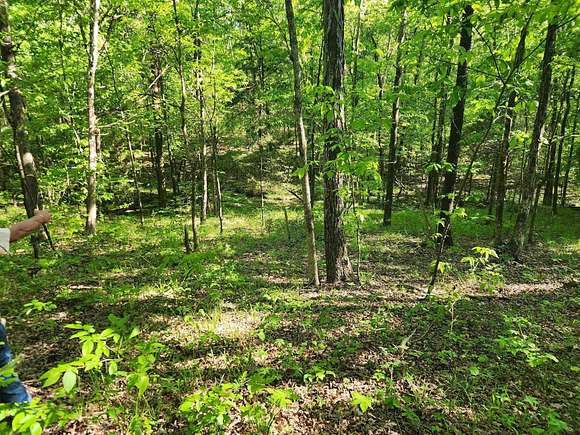 9 Acres of Residential Land for Sale in Tuscumbia, Alabama