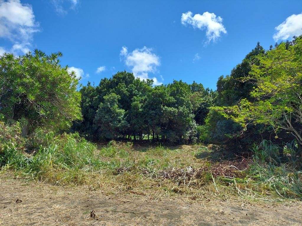 0.28 Acres of Residential Land for Sale in Nāʻālehu, Hawaii