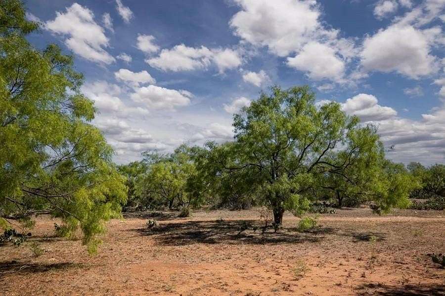 119 Acres of Land for Sale in Mason, Texas