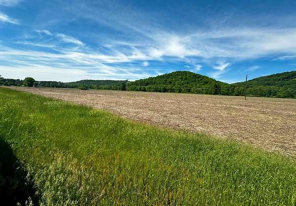 72.9 Acres of Land for Sale in Roulette, Pennsylvania