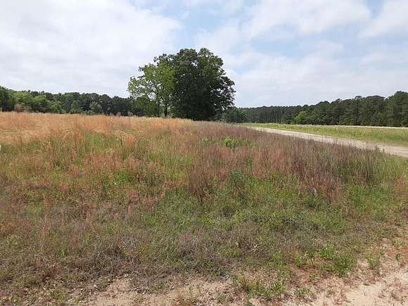 22.41 Acres of Agricultural Land for Sale in Vance, South Carolina