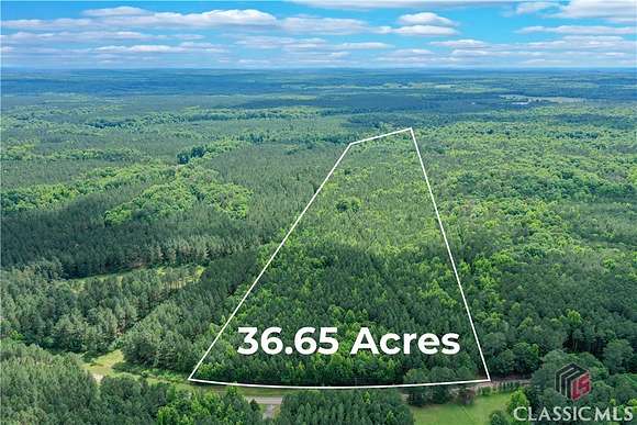 36.7 Acres of Land for Sale in Stephens, Georgia