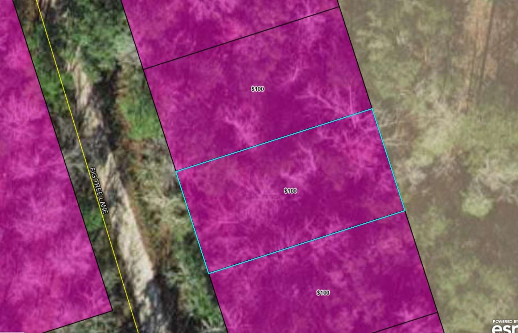 0.11 Acres of Land for Sale in Crawfordville, Florida