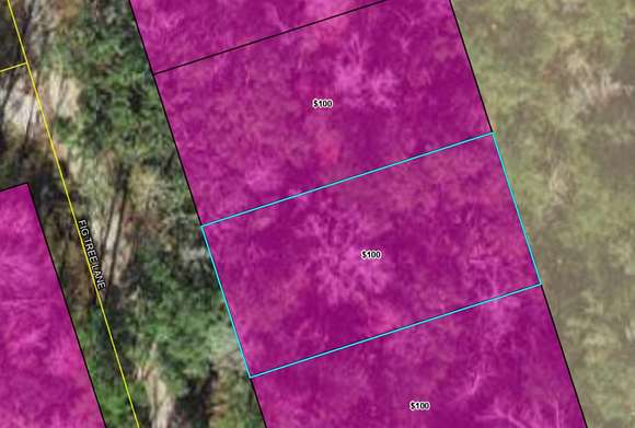0.11 Acres of Land for Sale in Crawfordville, Florida