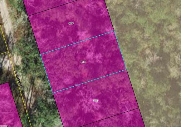 0.11 Acres of Land for Sale in Crawfordville, Florida