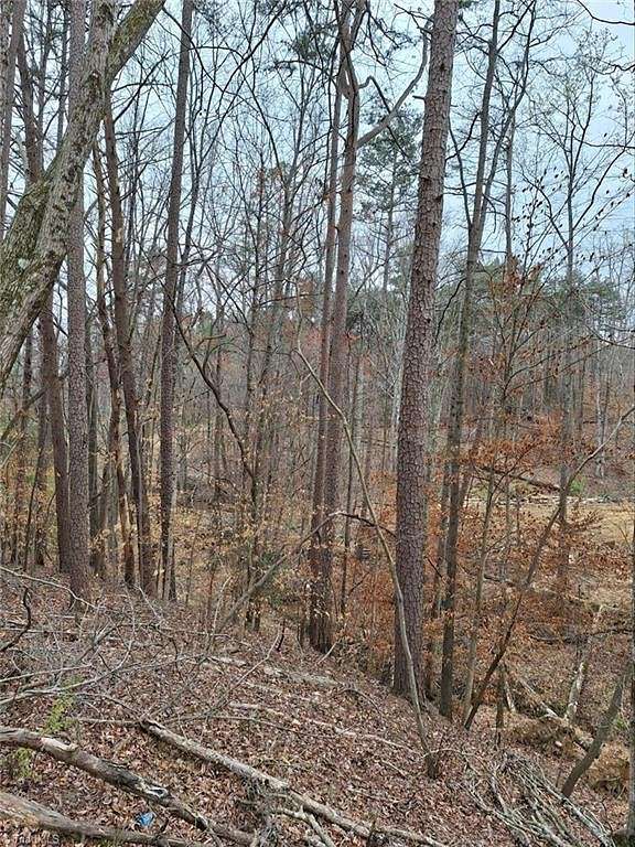 9.3 Acres of Residential Land for Sale in Pilot Mountain, North Carolina