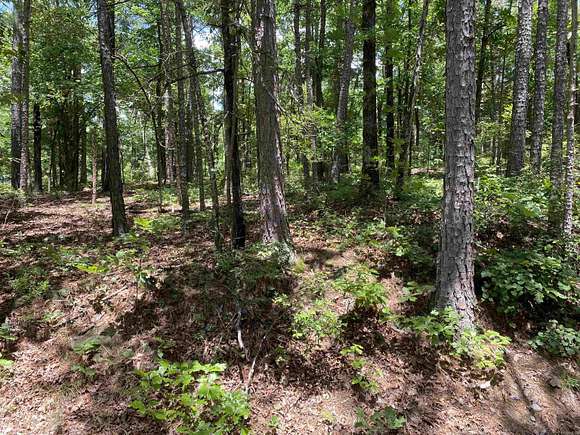 0.5 Acres of Residential Land for Sale in Higden, Arkansas