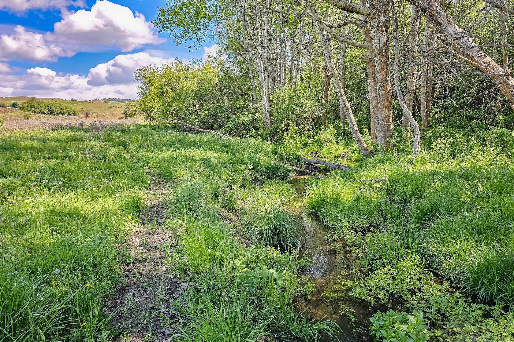 239.75 Acres of Agricultural Land for Sale in Fruitland, Washington