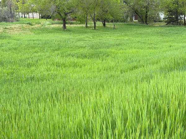 1 Acre of Residential Land for Sale in Sidney, Montana