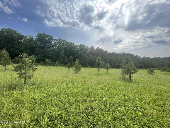 33.5 Acres of Recreational Land for Sale in Louisville, Mississippi