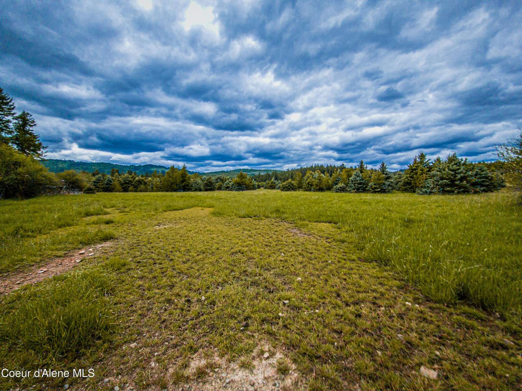 20 Acres of Agricultural Land for Sale in St. Maries, Idaho