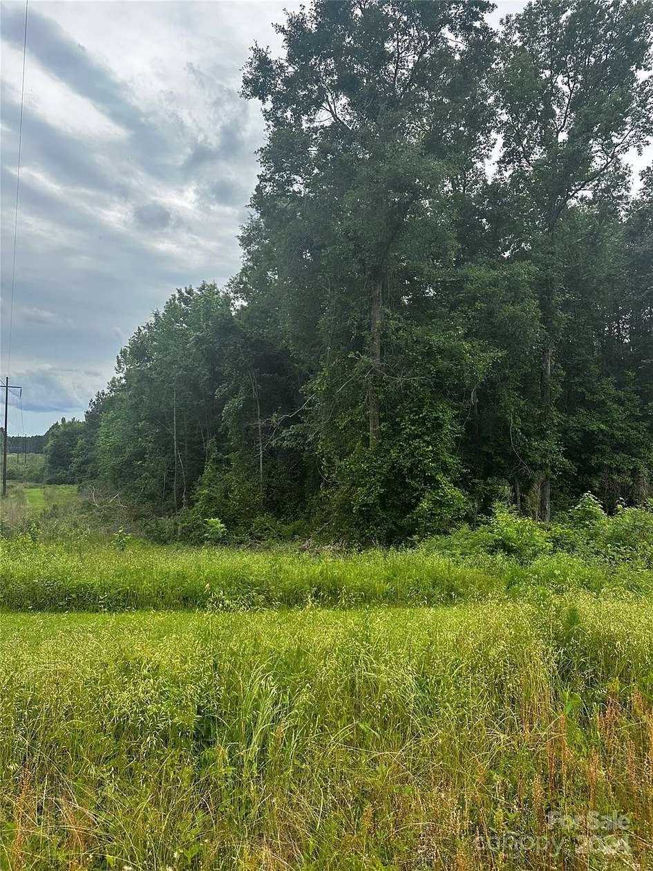 30 Acres of Land for Sale in Chesterfield, South Carolina