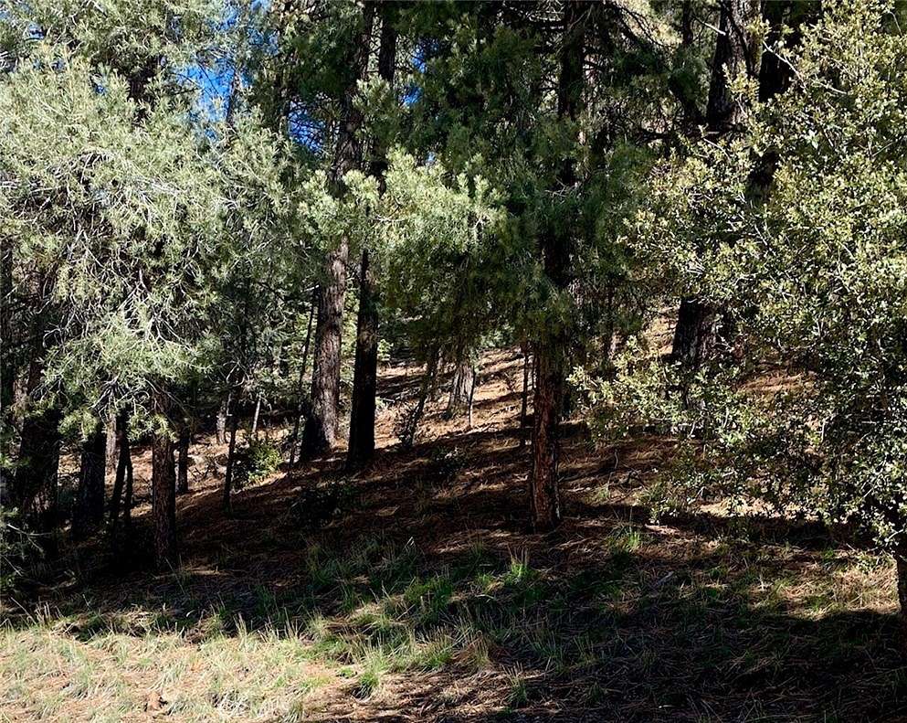 0.49 Acres of Land for Sale in Pine Mountain Club, California