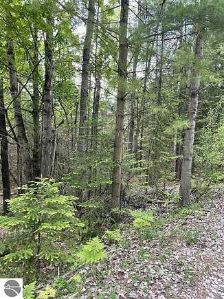 0.73 Acres of Residential Land for Sale in Sterling, Michigan