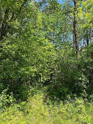 12 Acres of Recreational Land for Sale in Garfield Town, Wisconsin