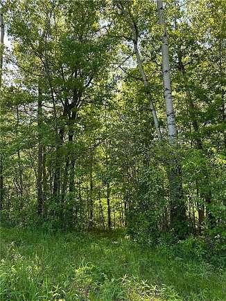 28 Acres of Land for Sale in Garfield Town, Wisconsin