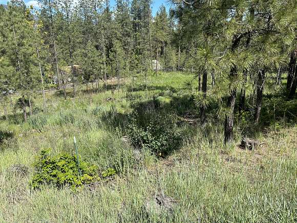 1.9 Acres of Residential Land for Sale in Kettle Falls, Washington