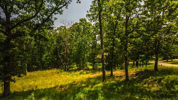 0.34 Acres of Residential Land for Sale in Kimberling City, Missouri