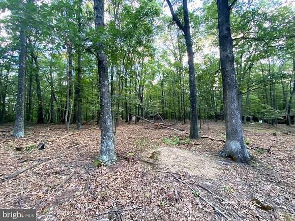 10.5 Acres of Recreational Land for Sale in Cross Junction, Virginia